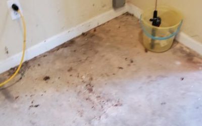 Is It Possible to Resurface Old Concrete?